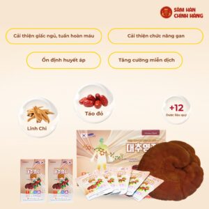 Nước Linh Chi Táo Đỏ Jujube Linhzhi Premium Liquid (80ml x 30g)